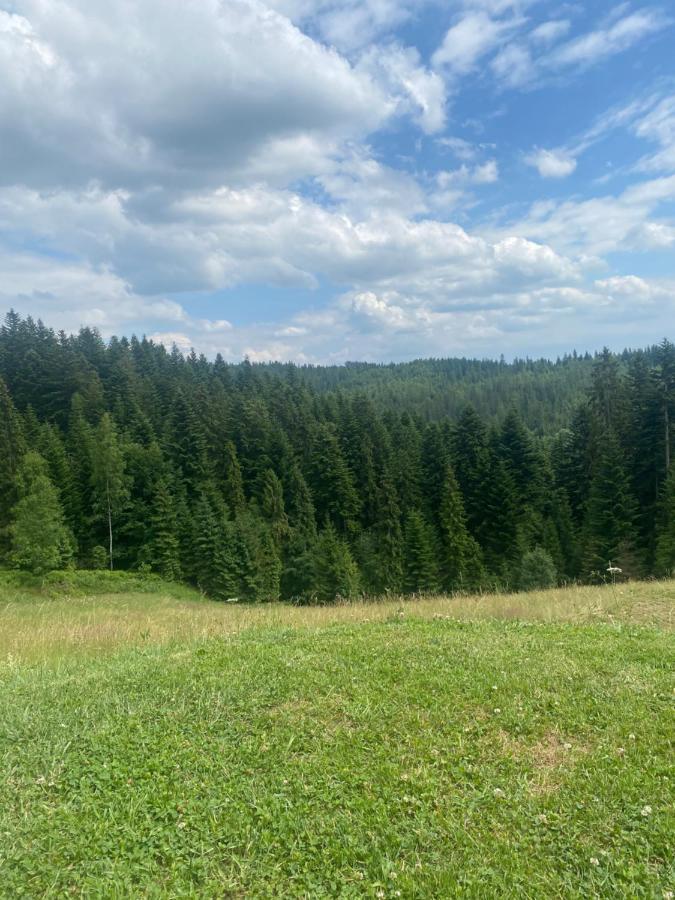 Apartament W Gorach Gorce Nowy Targ Eksteriør billede