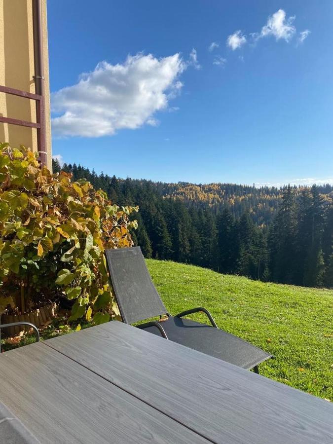 Apartament W Gorach Gorce Nowy Targ Eksteriør billede